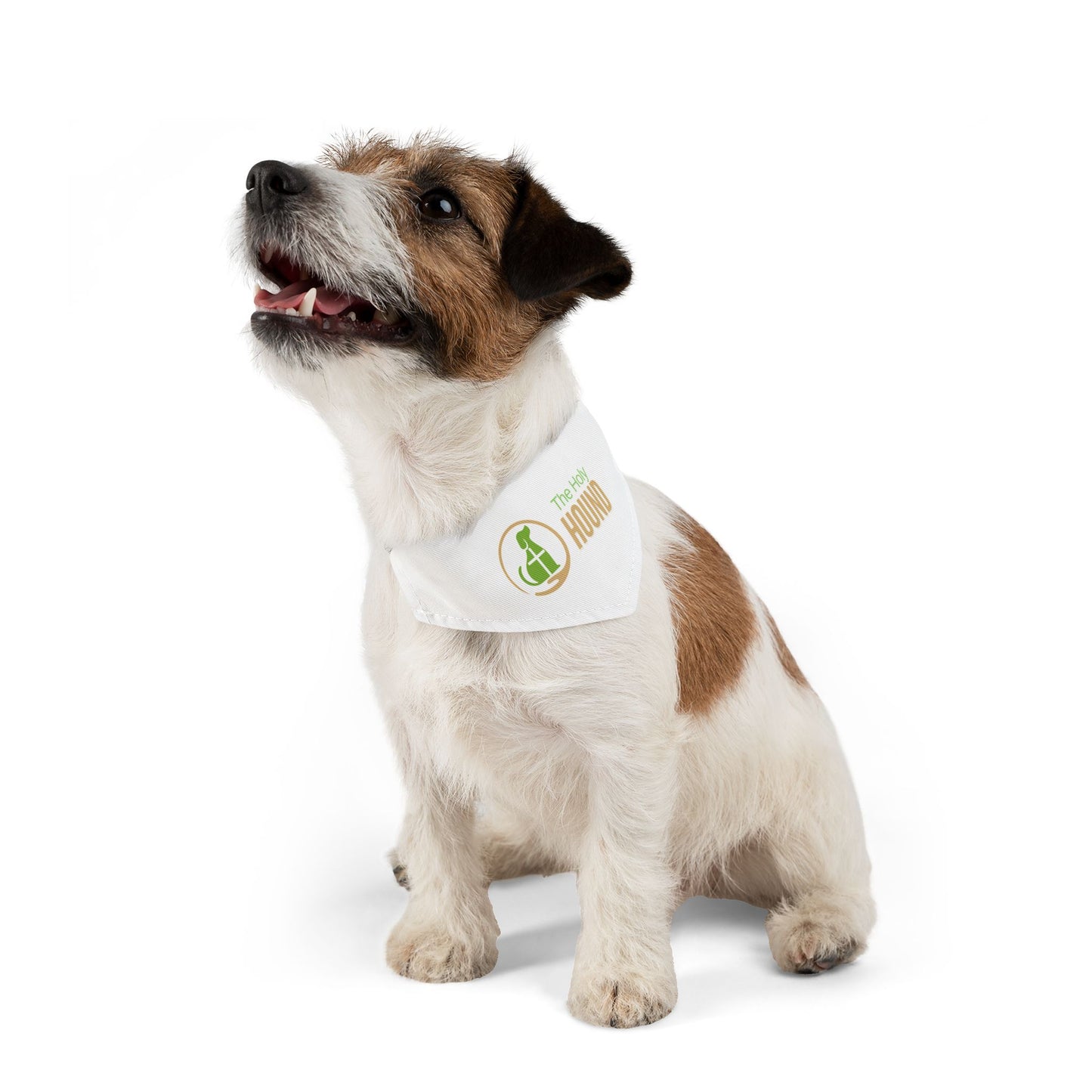 The Holy Hound Bandana Collar