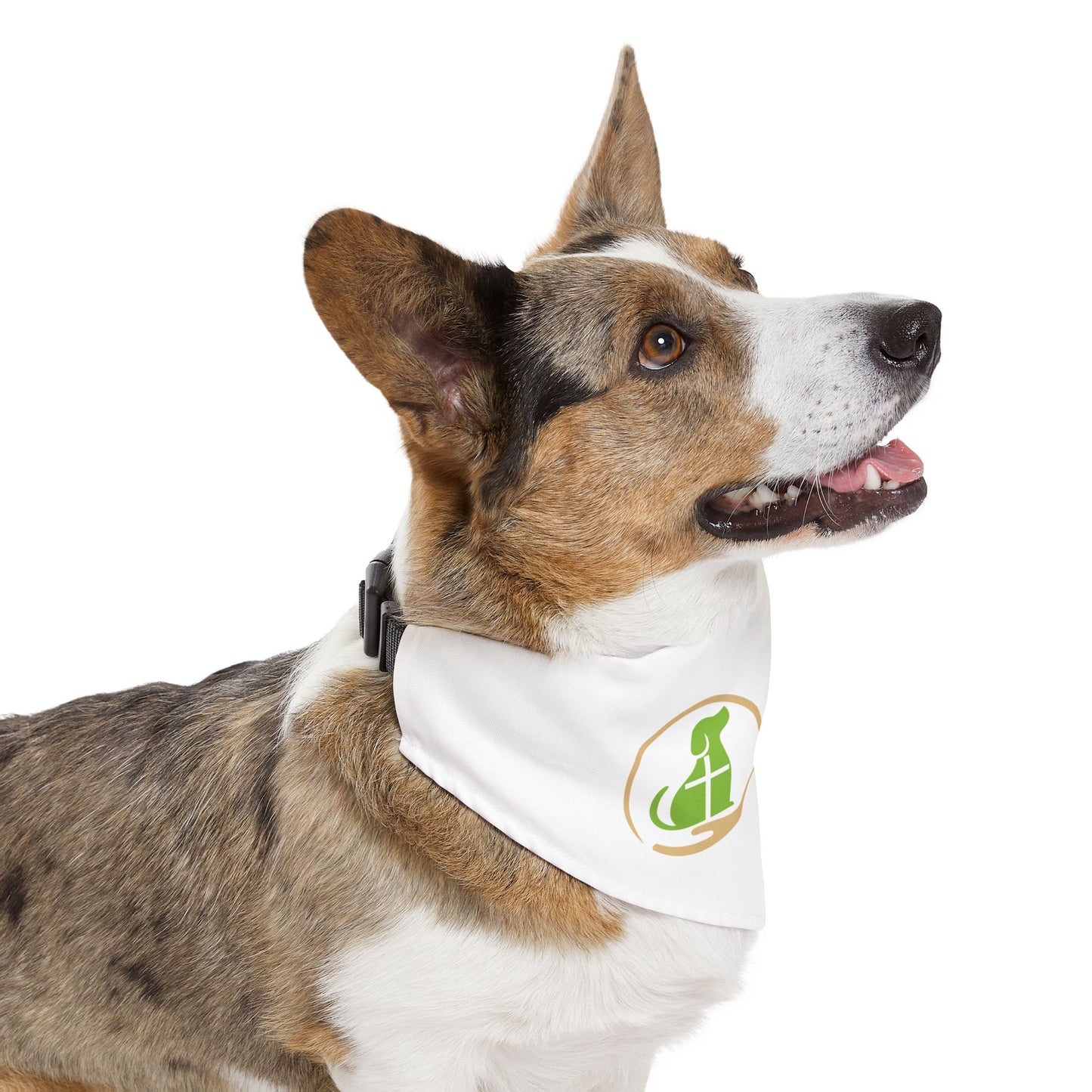 The Holy Hound Bandana Collar