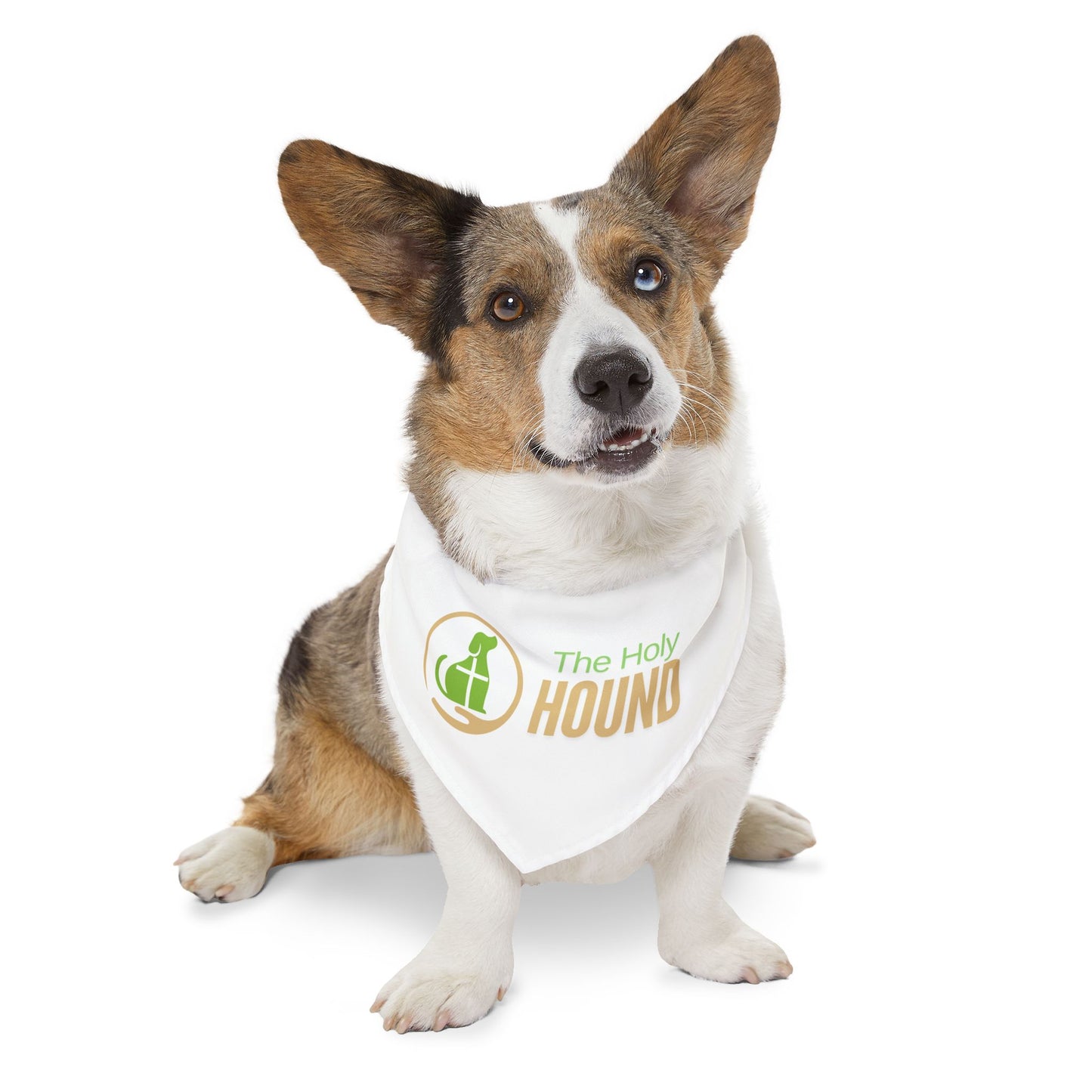 The Holy Hound Bandana Collar