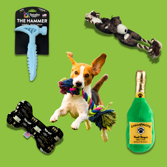 The Hyper Hound Subscription Box - Toys Only