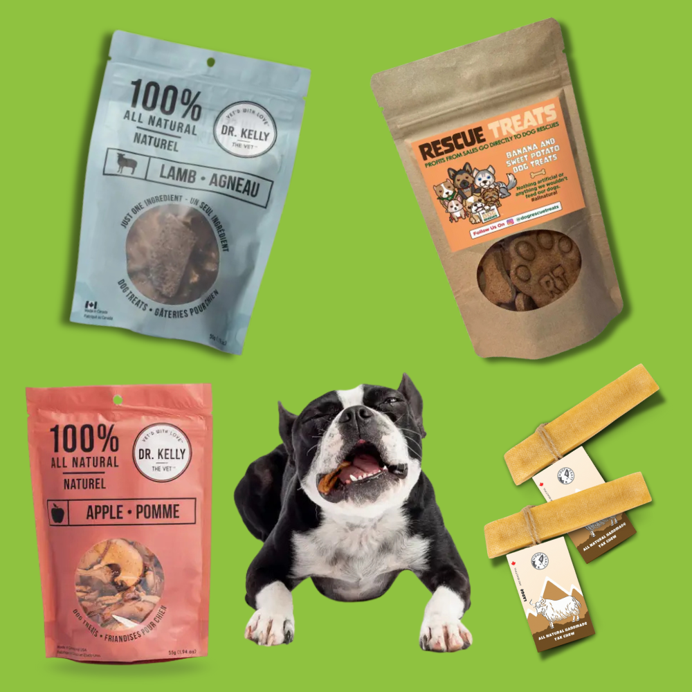 The Hungry Hound Subscription Box - Treats Only